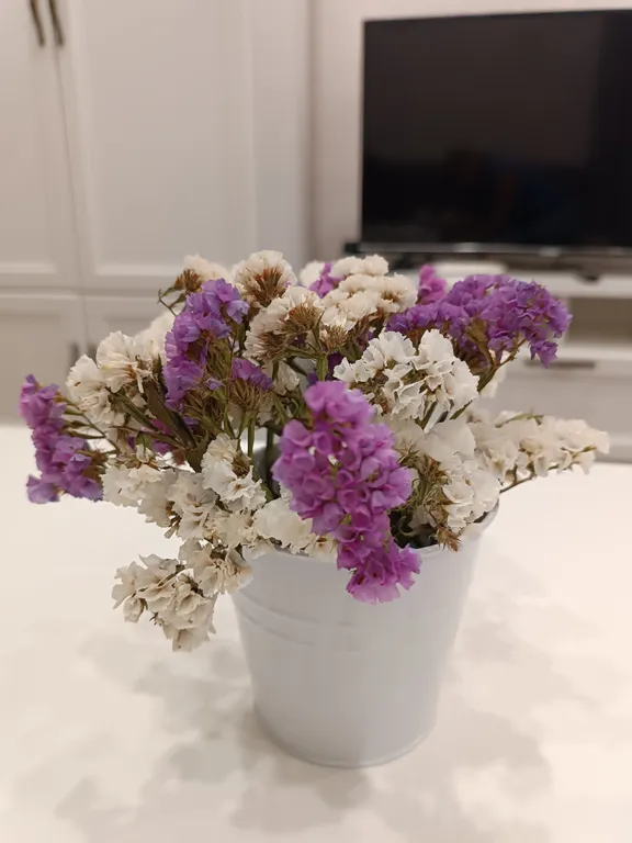 Уютная квартира в самом сердце исторического города