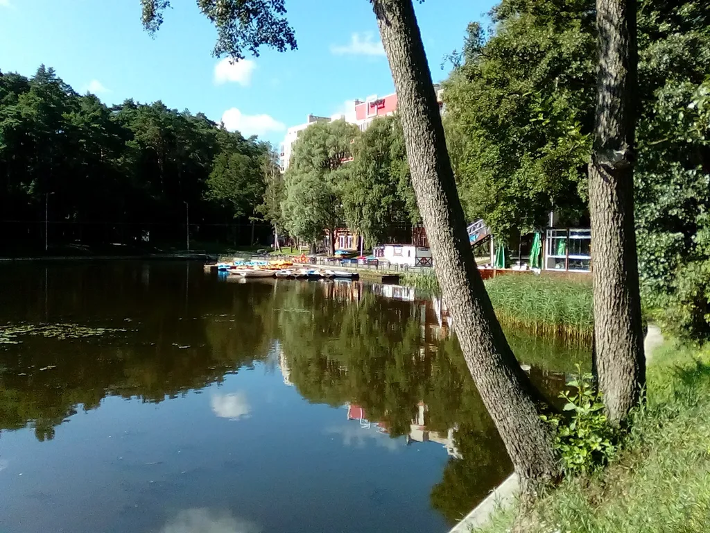 Квартира у моря, с видом на озеро и сосновый бор