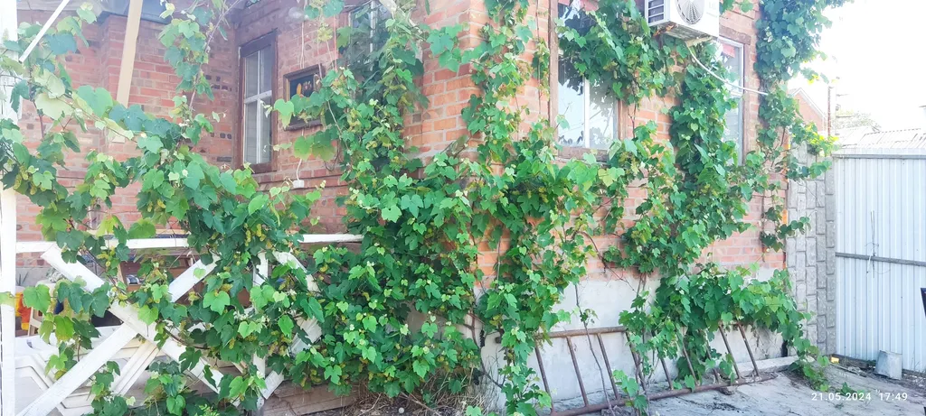 Домик с видом на море