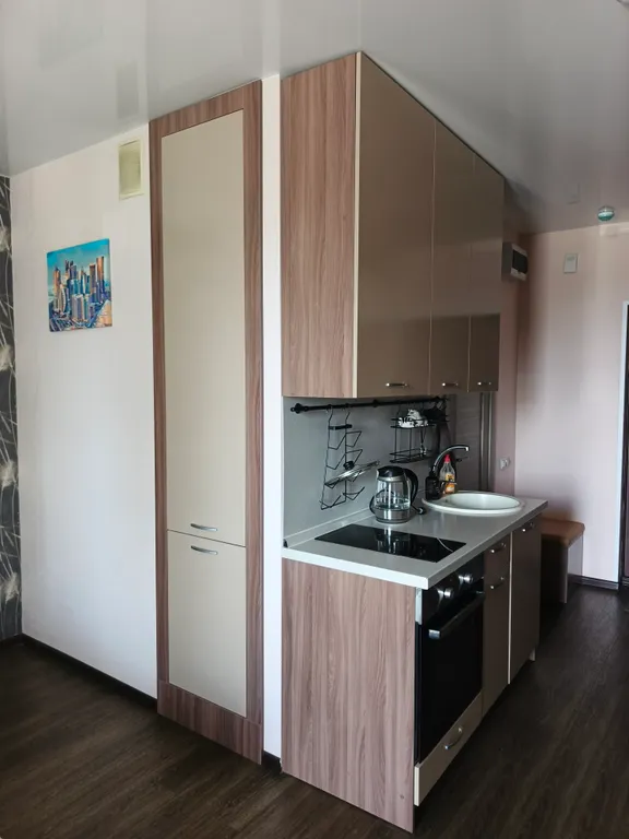 Уютная студия на Филипова