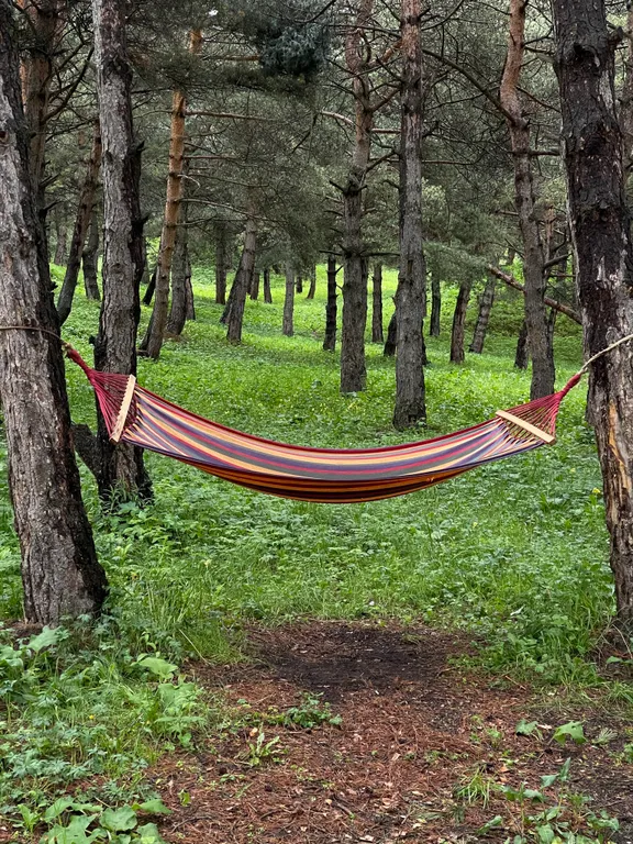 Апартаменты с видом на озеро и сосновый бор