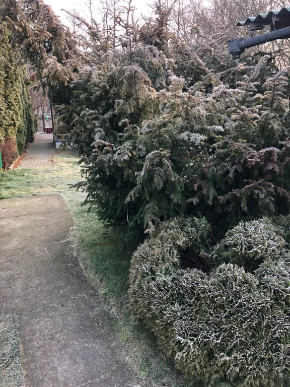 6-комнатный Дом