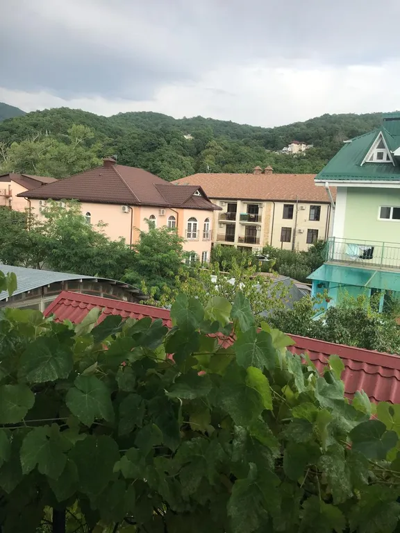 Квартира Комната — Лазаревское