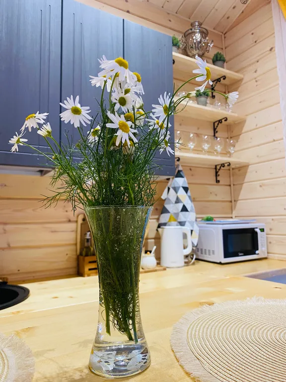 Коттедж Коттедж Барнхаус в Яхонтовом лесу — Ногинск