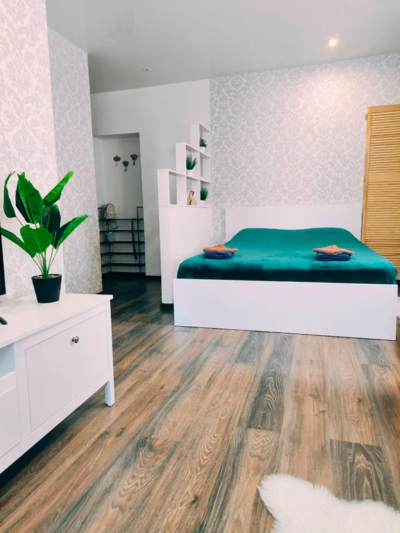 Уютная однокомнатная квартира