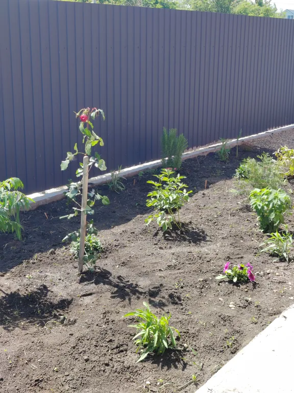 Уютный загородный дом