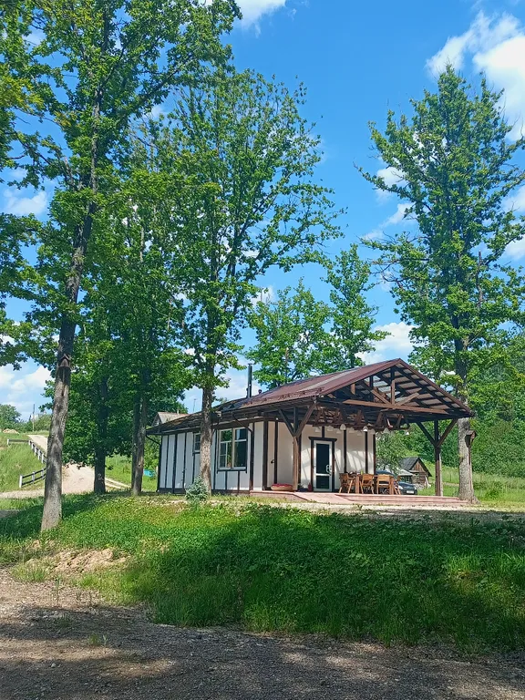 Коттедж 4-комнатный Дом — аренда посуточно в Пушкинские Горы