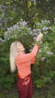 Лариса