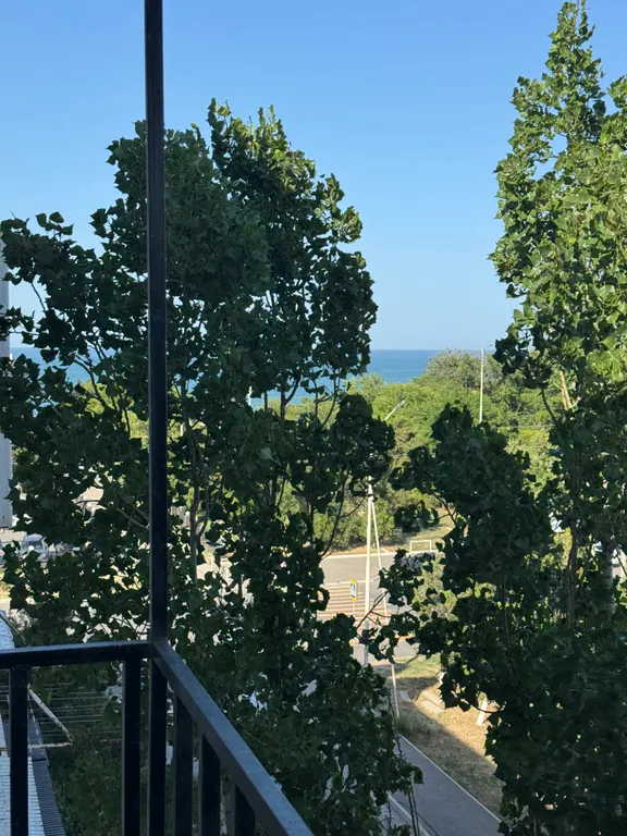 Уютная студия в центре города