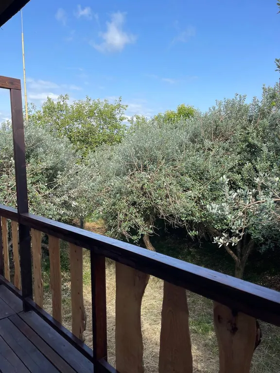 Апартаменты Wood Garden N4 с видом на сад