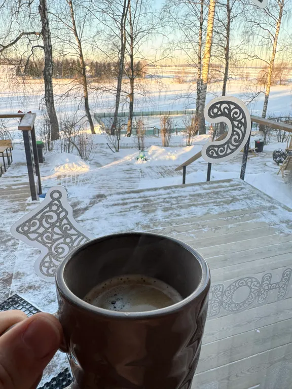 Уютный дом на берегу озера в березовой роще