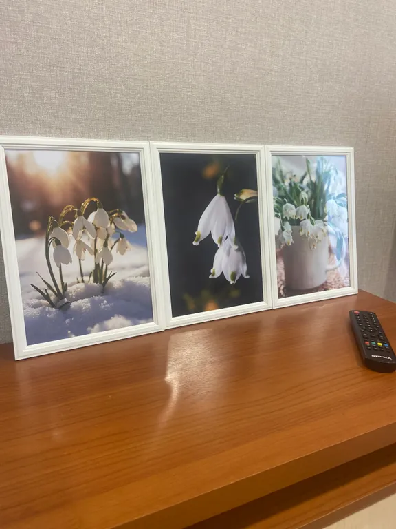 Однокомнатная квартира европланировки в новом доме