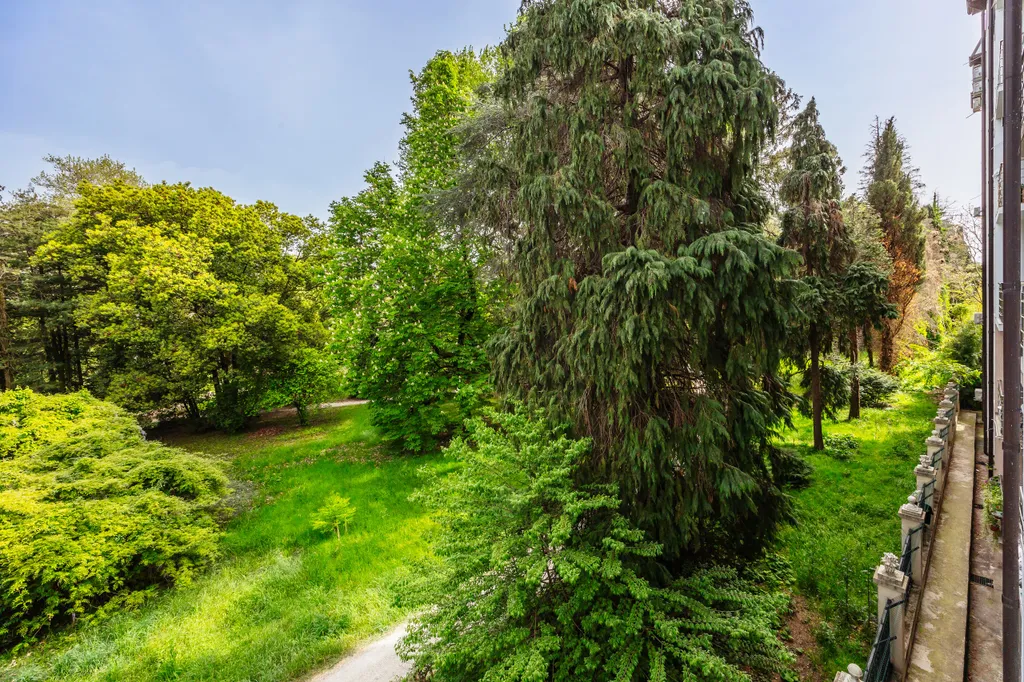 Квартира с видом на парк