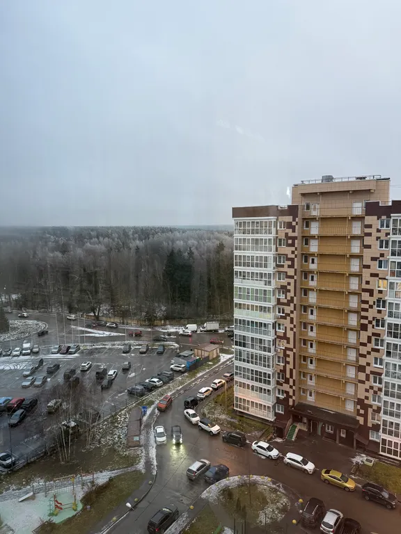 Студия в Мелодии Леса