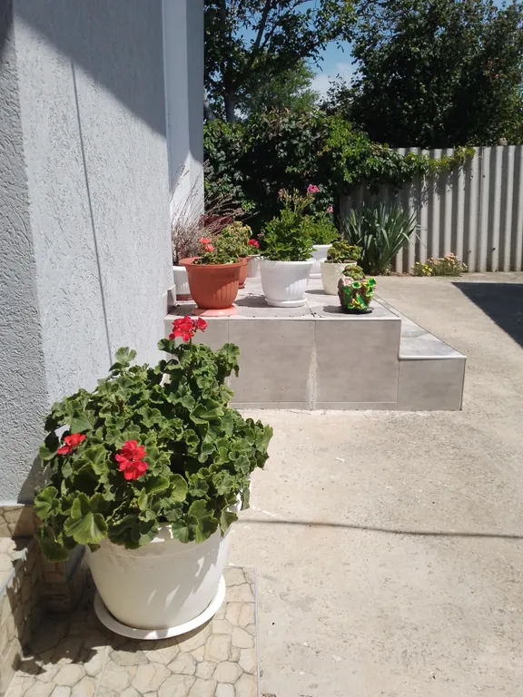 Апартаменты у моря