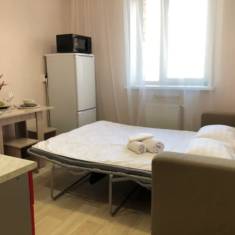 Квартира Уютная и светлая квартира в 10 минутах от центра — Иркутск