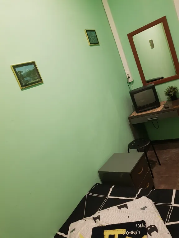 Двухместный номер эконом с двухспальным диваном