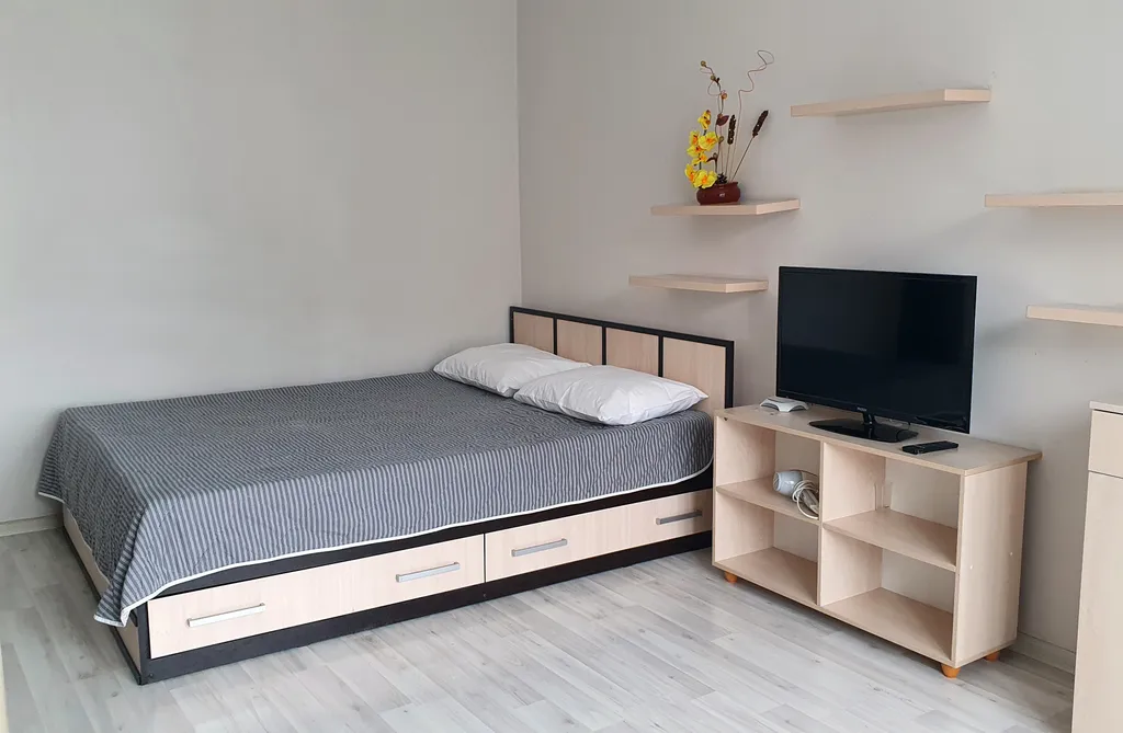 1-комнатная Квартира — аренда посуточно в Барнаул