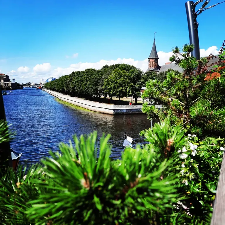 Квартира Квартира Apartments HappY KingS — Калининград