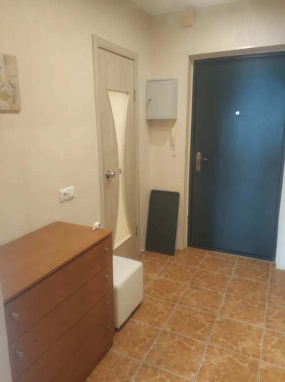 Квартира Квартира Просторная студия — Пушкин