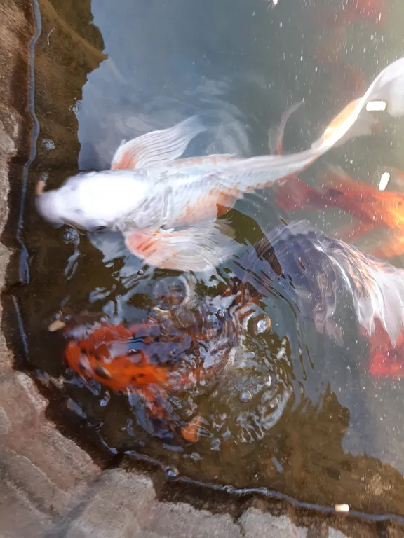 5-комнатный Дом