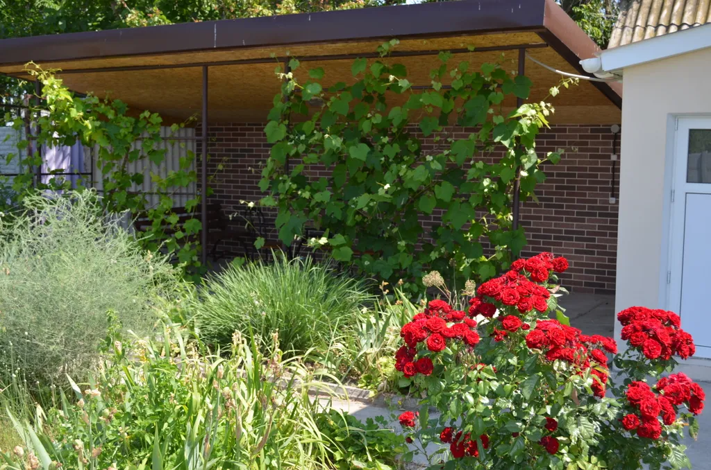 Квартира Комната у моря со всеми удобствами и отдельным входом — Раздольное