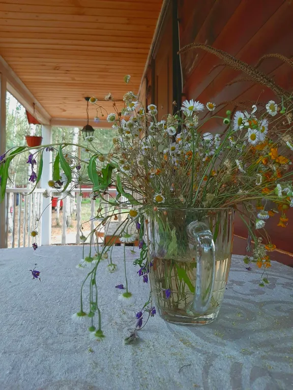 Вишнёвый домик в Махре