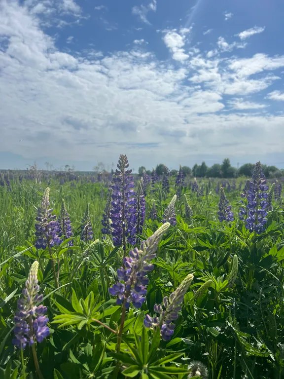 Уникальный дом на Святой Земле