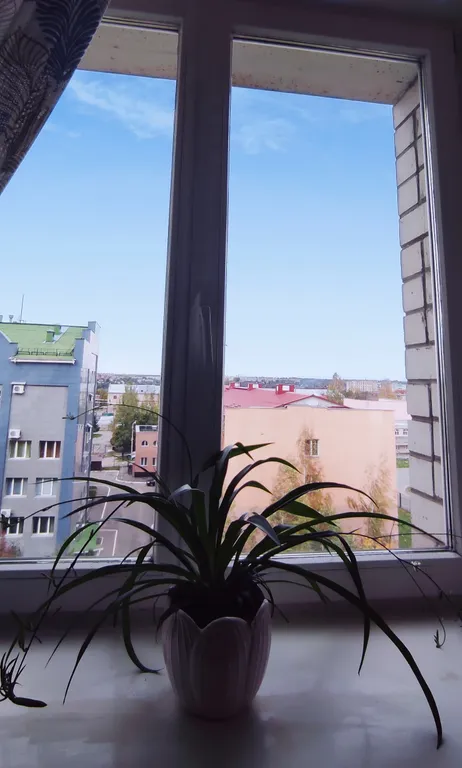 Апартаменты в доме с индивидуальным отоплением