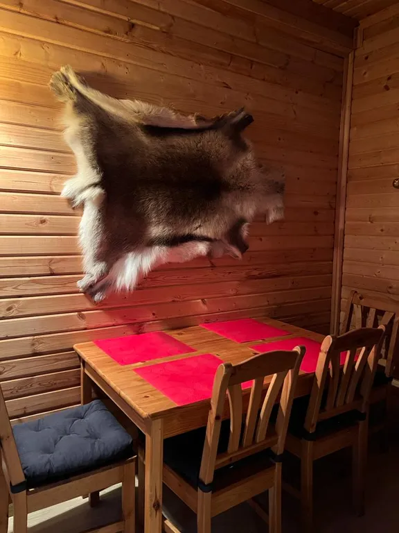 Лесная сказка на берегу Ладоги