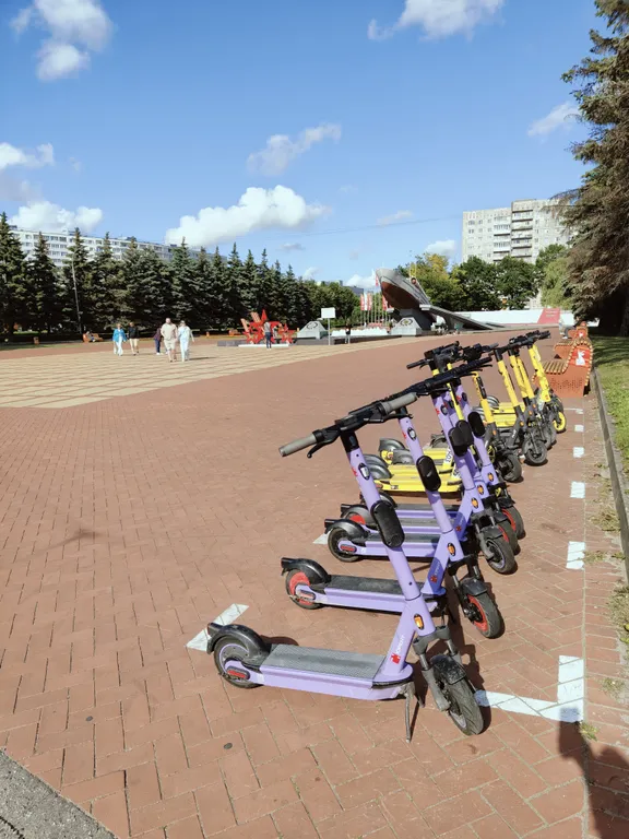 Квартира Уютная квартира с птичками в сердце Калининграда — Калининград