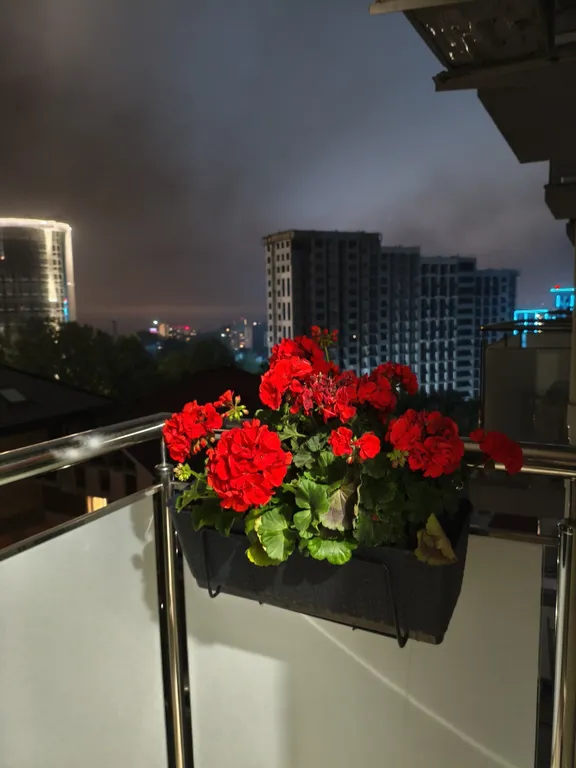 Квартира рядом с центром Сочи в район Бытха с видом на море