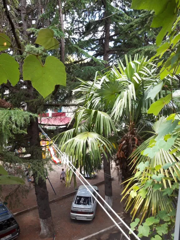 Квартира в минуте от моря