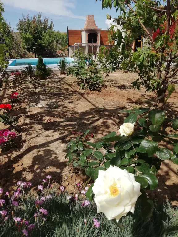 Коттедж Дом с бассейном — Береговое (Бахчисарай)