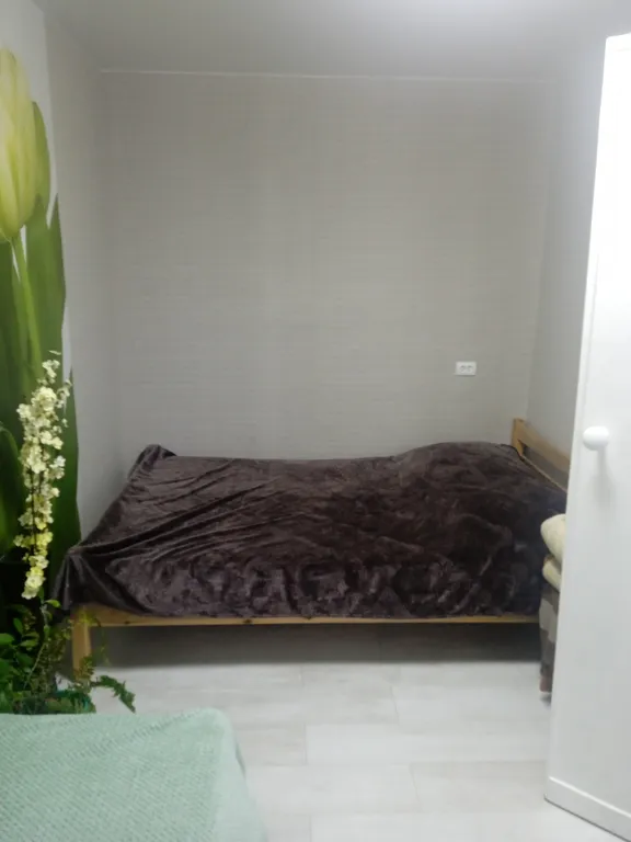 Квартира в пяти минутах от ледового дворца