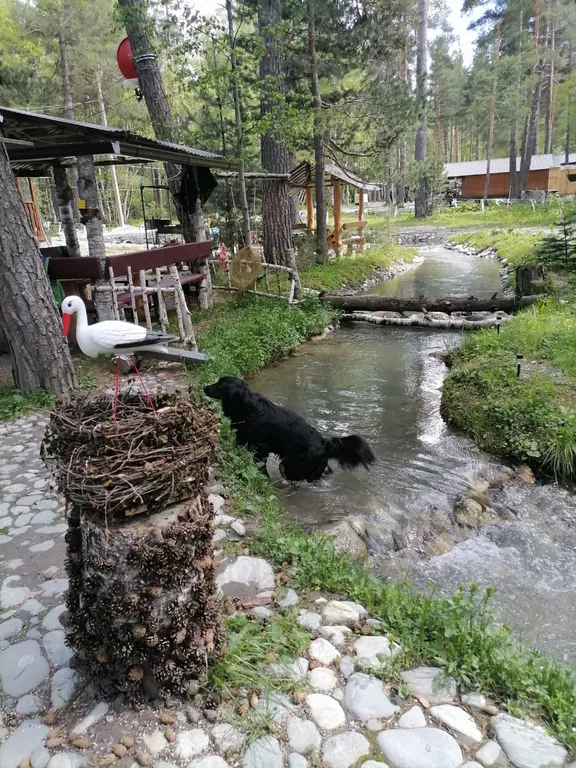 Коттедж Коттедж Лес хрустальной песни — Архыз