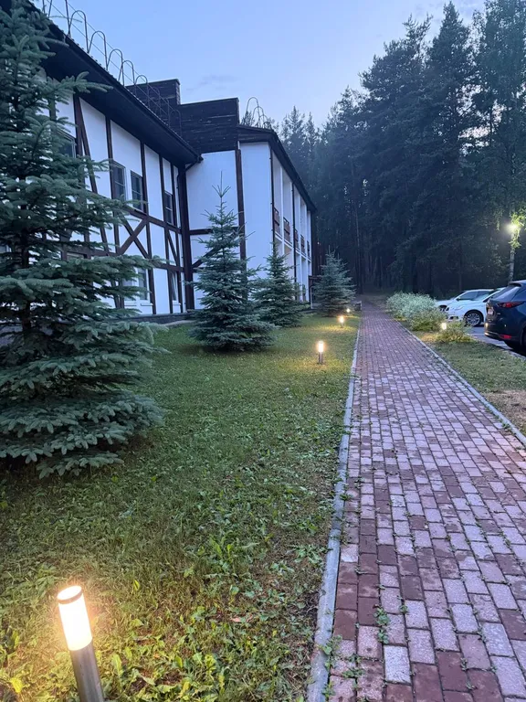 Большие апартаменты у озера Еловое