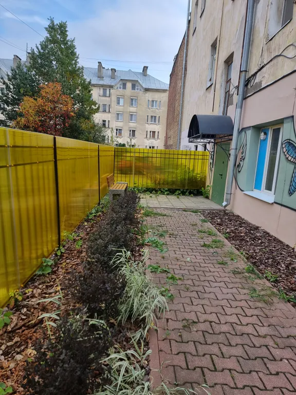 Черничные ночи в столице Золотого кольца