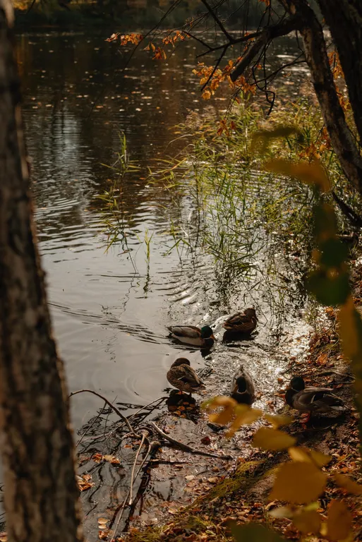 Атмосферная двухуровневая квартира с видом на Петропавловский парк