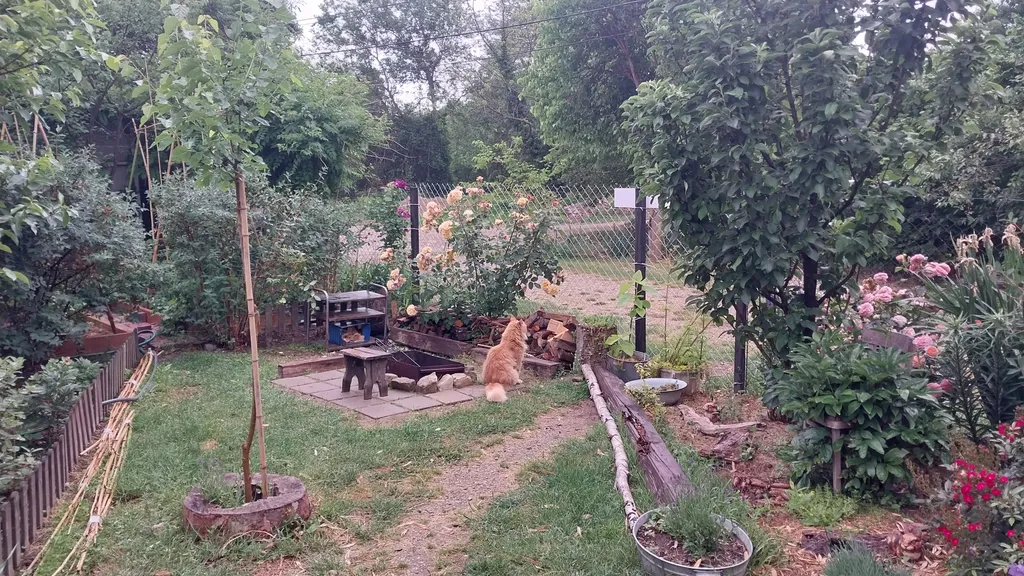 Коттедж 1-комнатный Дом — Архипо-Осиповка