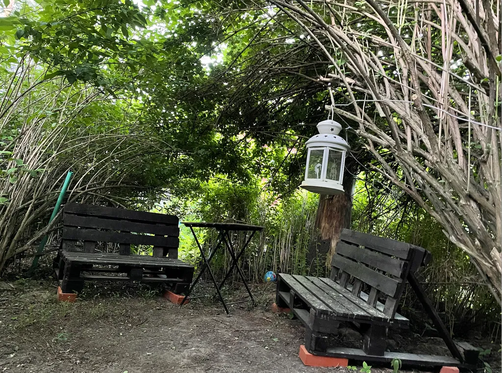 Уютный дом в соснах для семьи