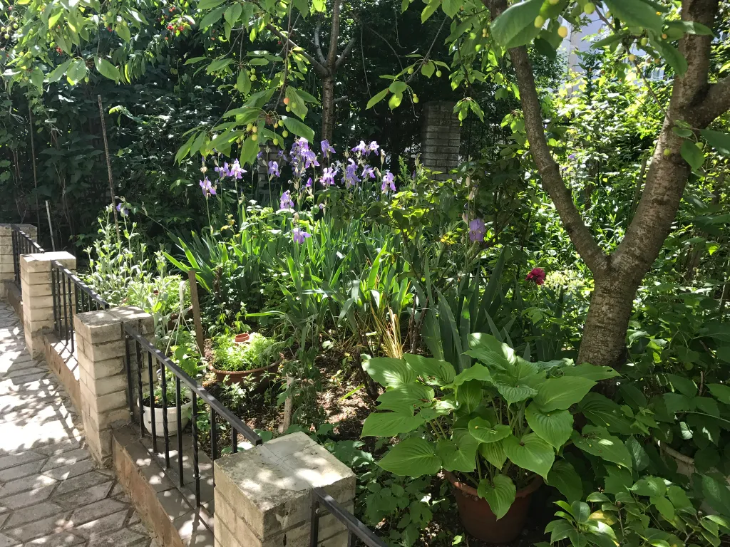 Домик у моря