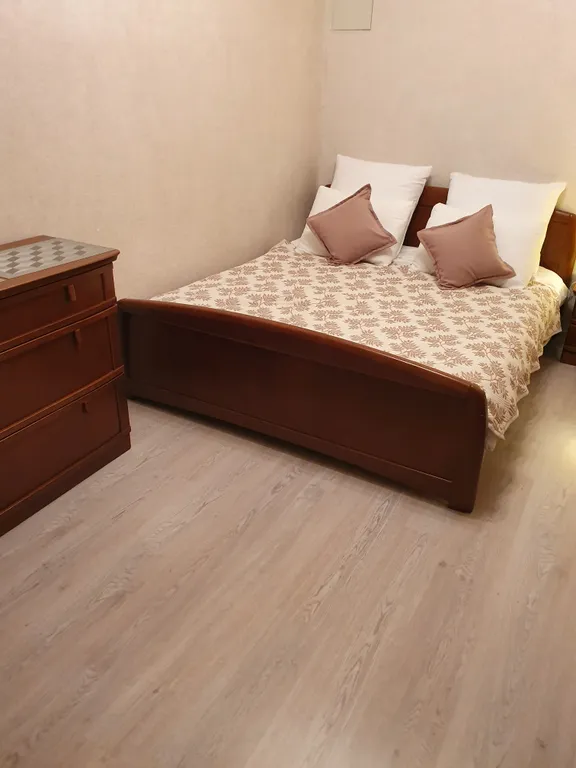 Двухуровневая 5-комнатная квартира в центре Амалиенау с зоной барбекю