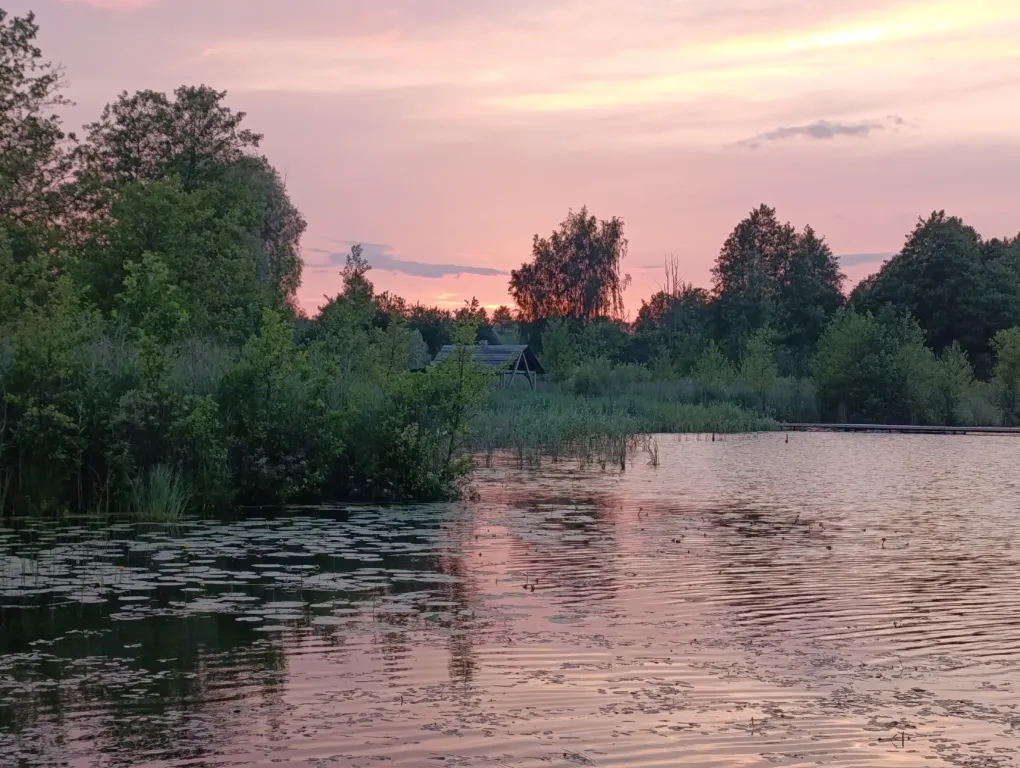 Дом с видом на озеро Ричи в заказнике