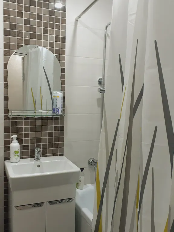 1-комнатная квартира с удобствами