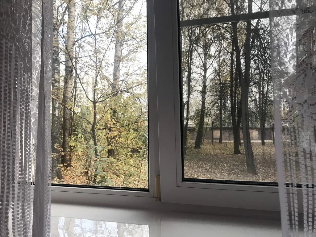 Маленькая студия у библиотеки