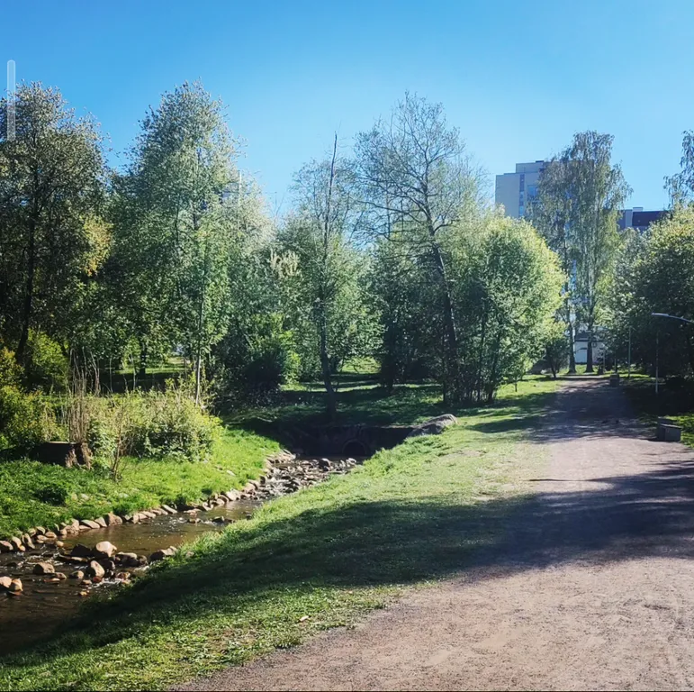 Евродвушка с камином на берегу Онежского озера