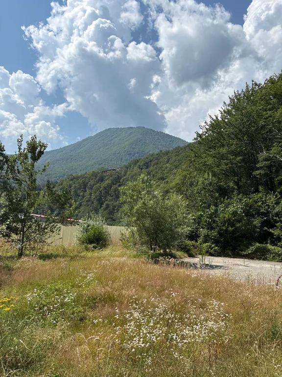 Квартира Делюкс-комната в лучшем районе Чёрного моря — Сириус