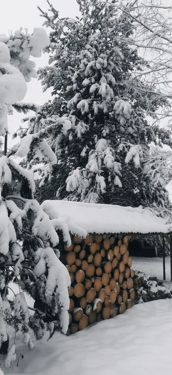 Домик у речки - мечта интроверта