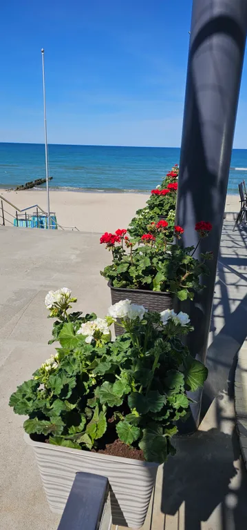 Уютная квартира для прекрасного отдыха